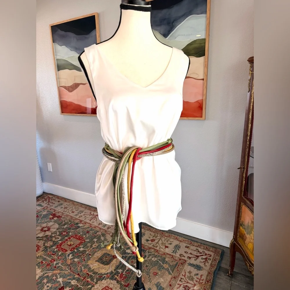 Multicolor Leather Skinny Belt Bundle